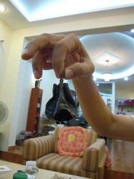 Mummified yuck gland